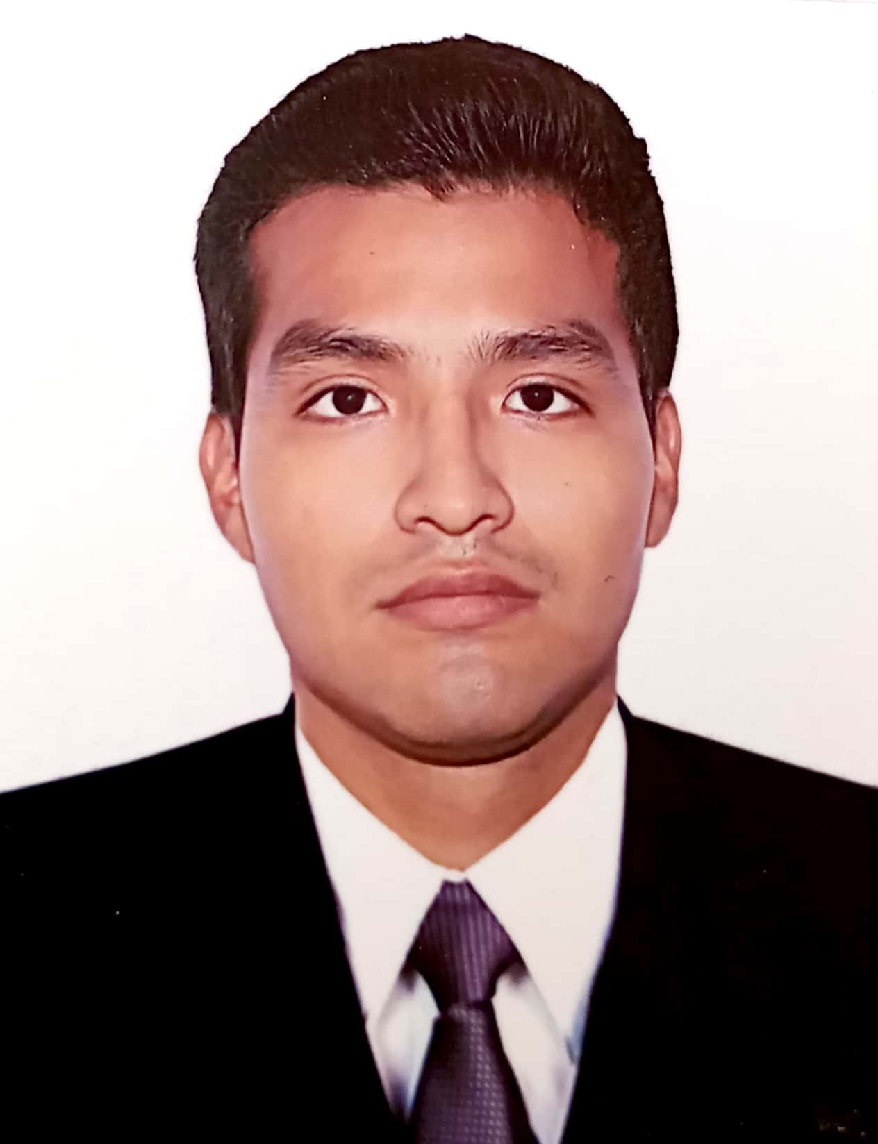 Ing. Luis Armando Verde Robles